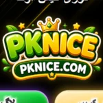 PK Nice Game