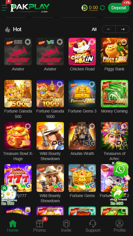 playpak game download